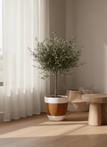 ceramic_pots - the_pot_studio Minimal_premium_ceramic_pots_for_desk_and_indoor_plants_in_India