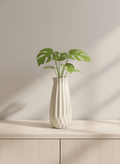 ceramic_pots - the_pot_studio Minimal_premium_ceramic_pots_for_desk_and_indoor_plants_in_India