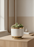 ceramic_pots - the_pot_studio Minimal_premium_ceramic_pots_for_desk_and_indoor_plants_in_India