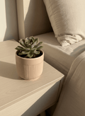 ceramic_pots - the_pot_studio Minimal_premium_ceramic_pots_for_desk_and_indoor_plants_in_India