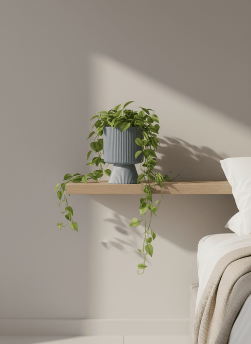 ceramic_pots - the_pot_studio Minimal_premium_ceramic_pots_for_desk_and_indoor_plants_in_India