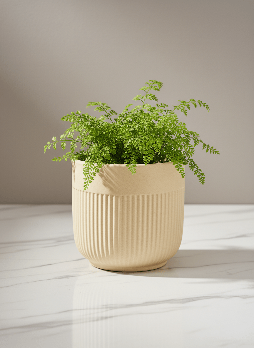 ceramic_pots - the_pot_studio Minimal_premium_ceramic_pots_for_desk_and_indoor_plants_in_India