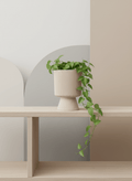 ceramic_pots - the_pot_studio Minimal_premium_ceramic_pots_for_desk_and_indoor_plants_in_India